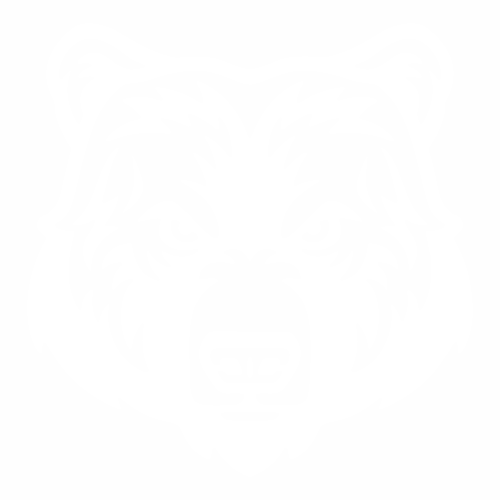Медведь - 1