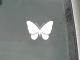 Бабочка - 11