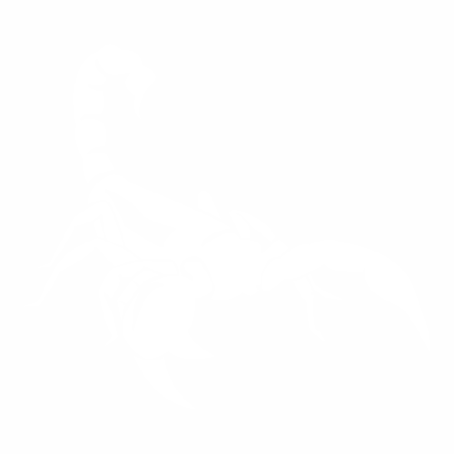 Скорпион - 4