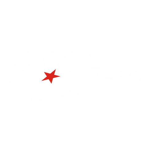 Наклейка EE team