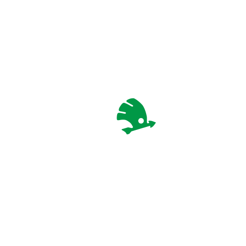 Skoda Club