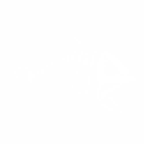Рыбалка - 26